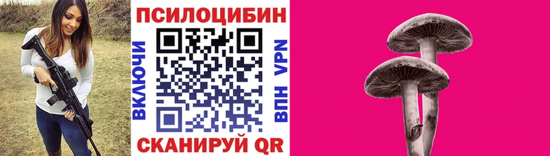 дарнет шоп Чаплыгин Галлюциногенные грибы ЛСД